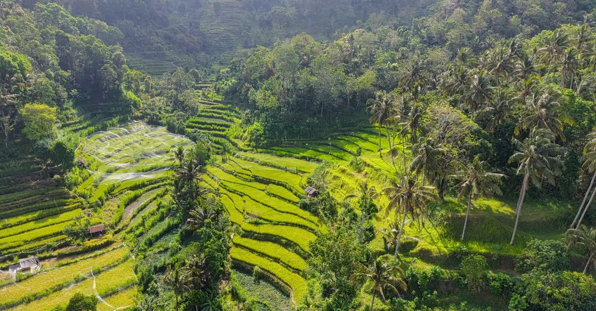 Bali en juin